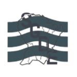 SGDE logo